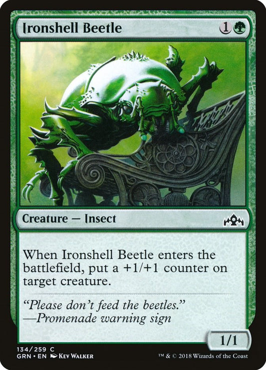 Ironshell Beetle [GRN - 134]
