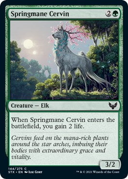 Springmane Cervin [STX - 144]