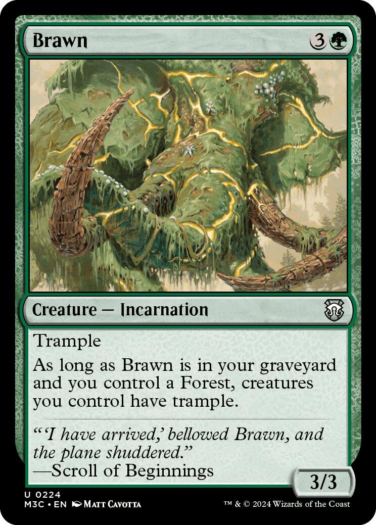 Brawn [M3C - 224]