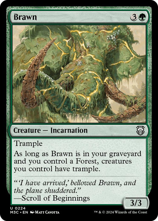 Brawn [M3C - 224]